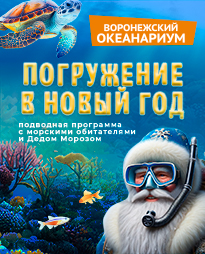 Погружение в новый год