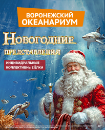 Новогодние ёлки в Воронежском океанариуме