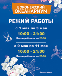 Праздничный режим работы