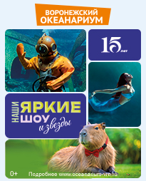 Наши яркие шоу и звезды