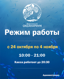 Режим работы