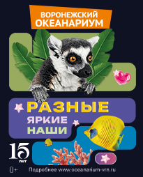 Разные. Яркие. Наши