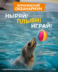 Ныряй! Плыви! Играй!